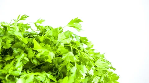 Fresh herbs parsley isolated on white Stock Footage 40365877