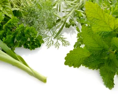 Fresh herbs Stock Photos