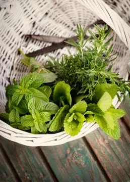 Fresh herbs Stock Photos