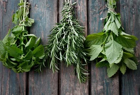 Fresh herbs Stock Photos