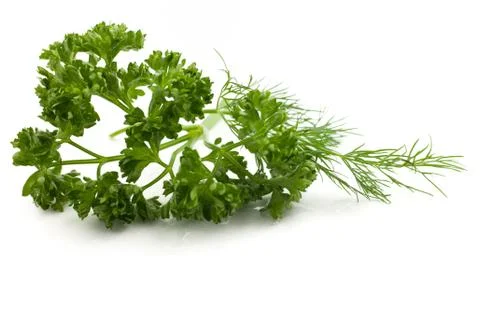 Fresh herbs Stock Photos