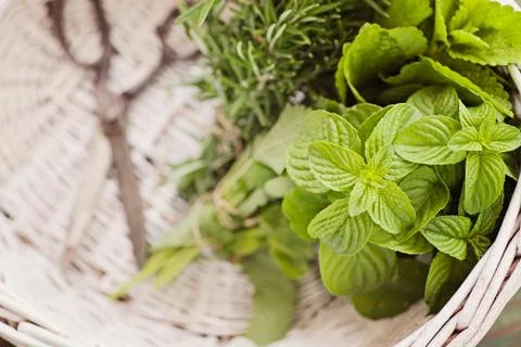 Fresh herbs Stock Photos