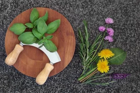 Fresh Herbs Stock Photos