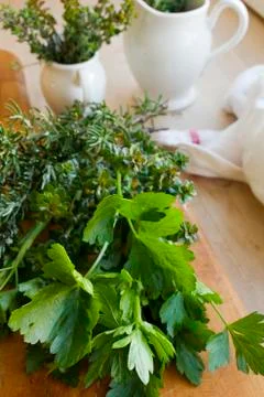 Fresh Herbs Stock Photos