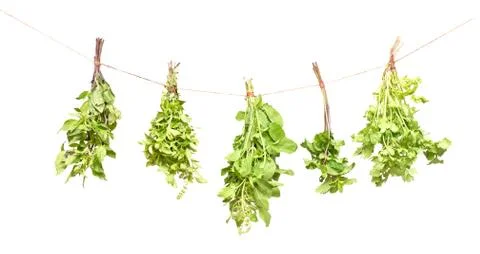 Fresh herbs Stock Photos