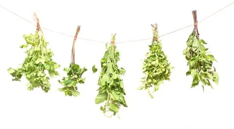 Fresh herbs Stock Photos