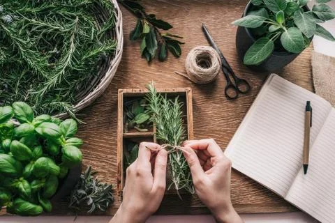 Fresh herbs Stock Photos