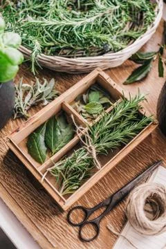 Fresh herbs Stock Photos