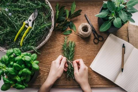 Fresh herbs Stock Photos