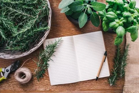 Fresh herbs Stock Photos