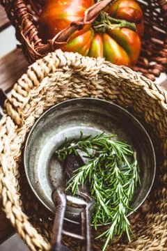 Fresh herbs. Rosemary  in rustic setting Stock Photos