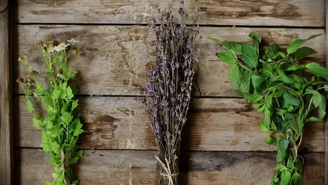 Fresh herbs on rustic background Stock Footage 77565768