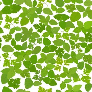 Fresh herbs seamless background  with basil, mint, parsley Stock Illustration