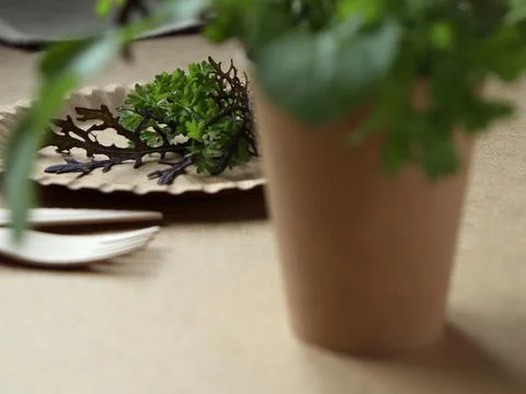 Fresh herbs in a simple setting with natural materials and utensils for Stock Photos