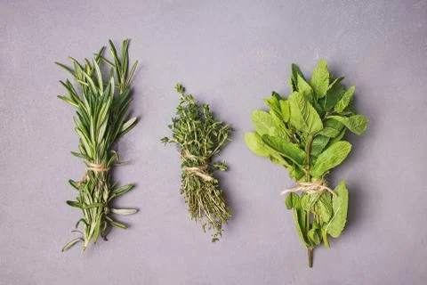 Fresh herbs on stone background, top view Stock Photos