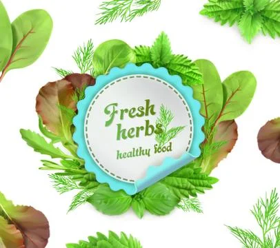 Fresh herbs, vector illustration Stock Illustration