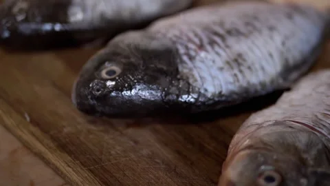 Fresh, highquality fish artfully arranged on a wooden board, ideal for cooking Stock Footage 312014693