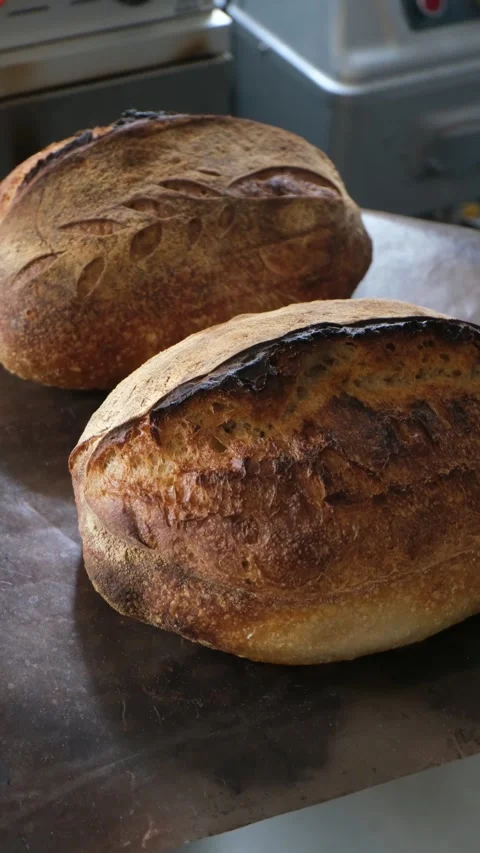 Fresh Homemade Artisan Bread Baking in Oven with Golden Crispy Crust Stock Footage 341246595