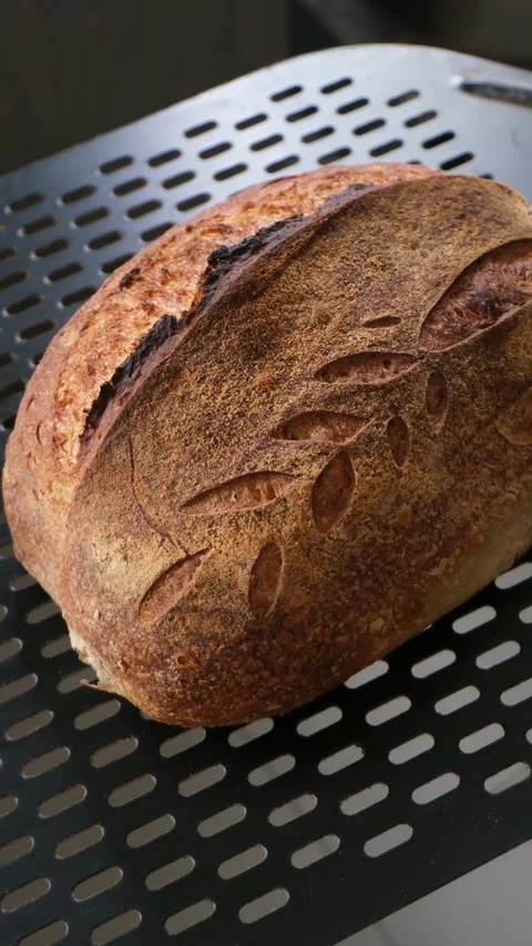Fresh Homemade Artisan Bread Baking in Oven with Golden Crispy Crust Stock Footage 341246604