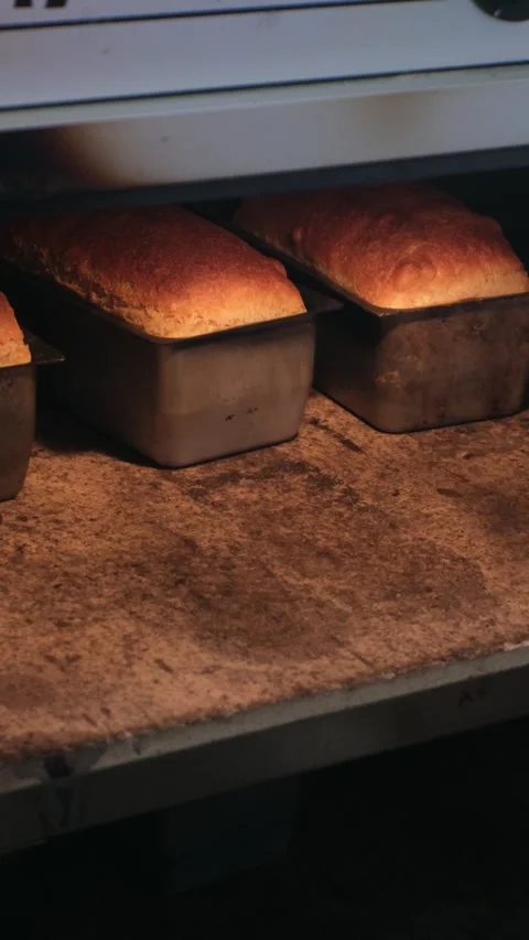Fresh Homemade Bread Baking in the Oven with Golden Crispy Crust Traditional Stock Footage 341223856