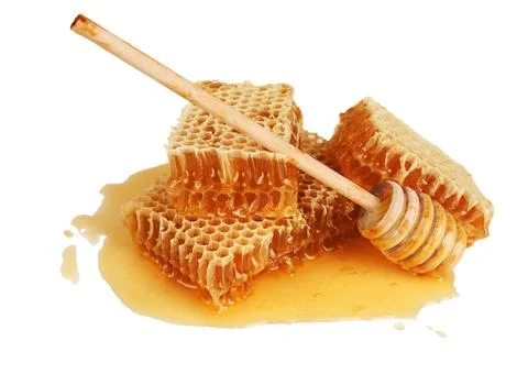 Fresh honey in comb Stock Photos