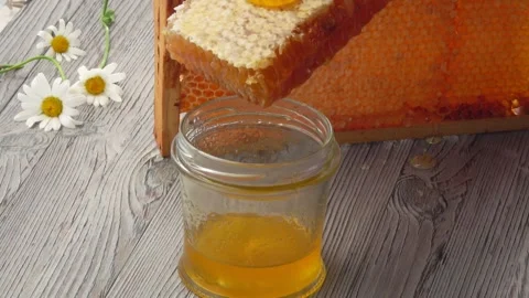 Fresh honey is flowing down the surface of the honeycombs into the glass jar Stock Footage 136366589
