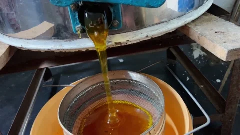 Fresh honey Stock Footage 203792215