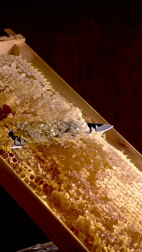 Fresh honeycomb frame with uncapping process during beekeeping harvest Stock Footage 336951369