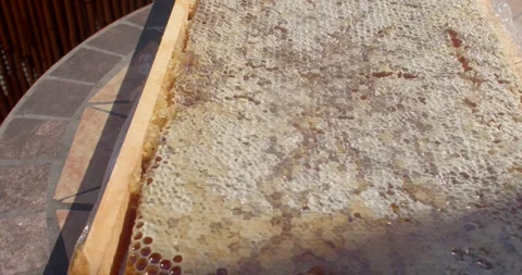 Fresh honeycomb unfolding on patio table as plastic wrap peels and honey drips Stock Footage 344596321