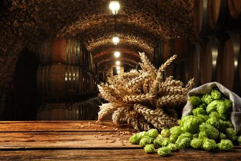 Fresh hops and wheat spikes on wooden table in beer cellar, space for text Stock Photos