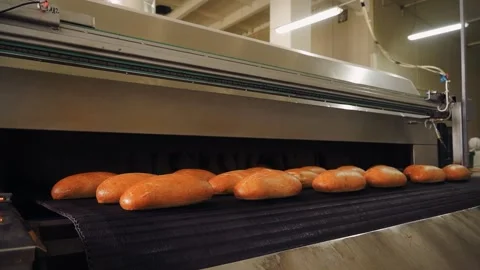 Fresh hot bread comes out of the oven in close-up on a conveyor belt Stock Footage 143072453