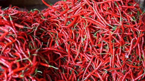 Fresh Hot Red Chilli and tomatoes on big basket at Traditional Market Stock Footage 108314709