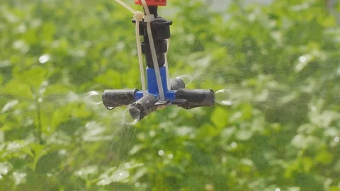 Fresh hydroponics vegetable farm Video stock 100422829