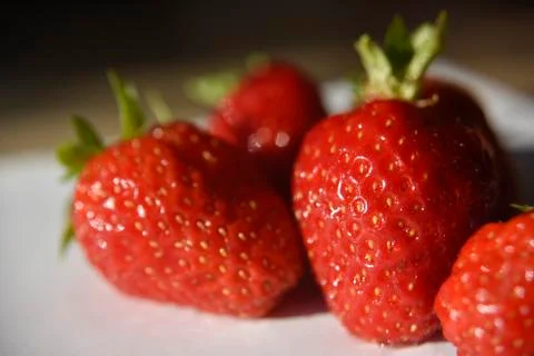 Fresh isolated strawberry on the table Stock Photos