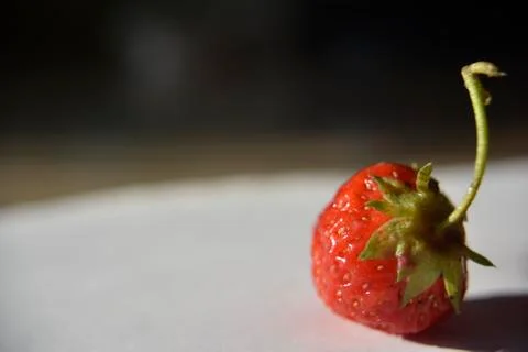 Fresh isolated strawberry on the table Stock Photos