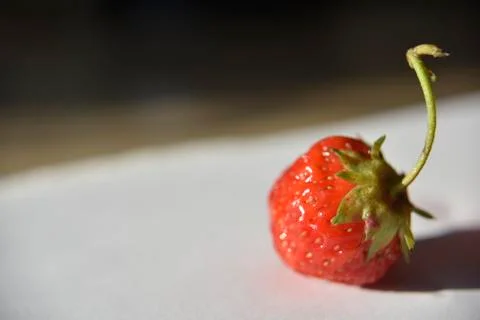 Fresh isolated strawberry on the table Stock Photos
