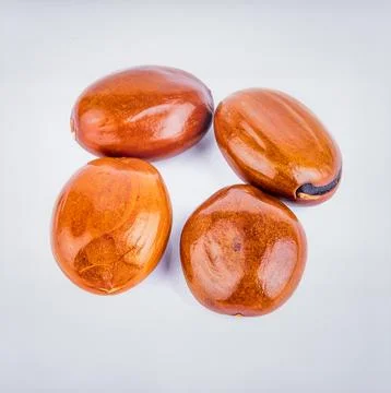 Fresh jackfruit seeds, brown glossy seeds from ripe jackfruit, isolated on .. Stock Photos