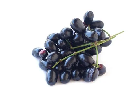 Fresh jamun fruits or Java plum with stems isolated on white background. Dark pu 스톡 사진