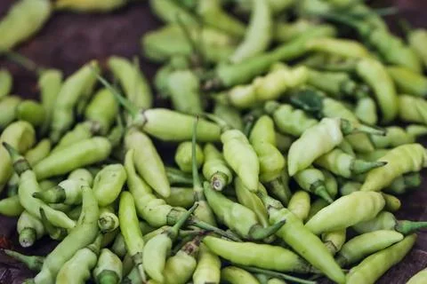 Fresh Java Green Chili Peppers, Raw Organic Cengek Chili for Gastronomy and.. Stock Photos