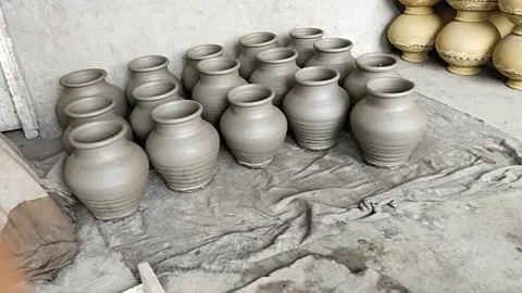 Fresh jog Stock Footage 238757189