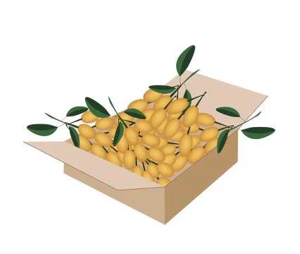 Fresh Juicy Burmese Grape in A Shipping Box Stock Illustration