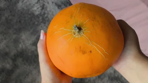 A fresh juicy orange round melon in the hands of a woman. Plants of the pumpkin Vídeo Stock 314975971
