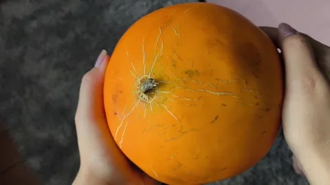 A fresh juicy orange round melon in the hands of a woman. Plants of the pumpkin Stock Footage 314976031