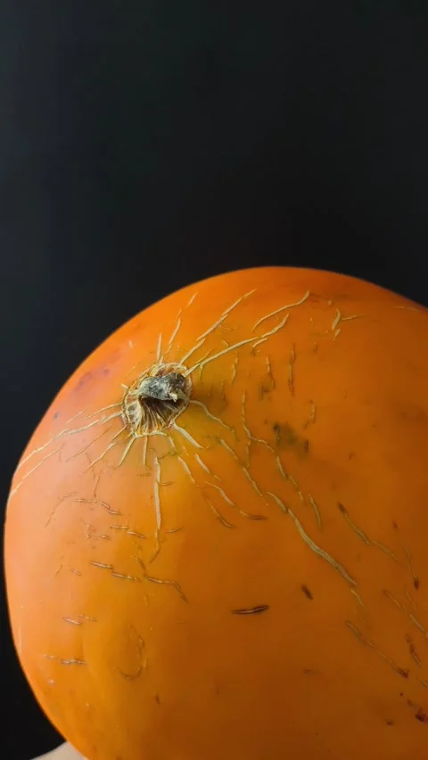 A fresh juicy orange round melon in the hands of a woman on a black background Stock Footage 314976102