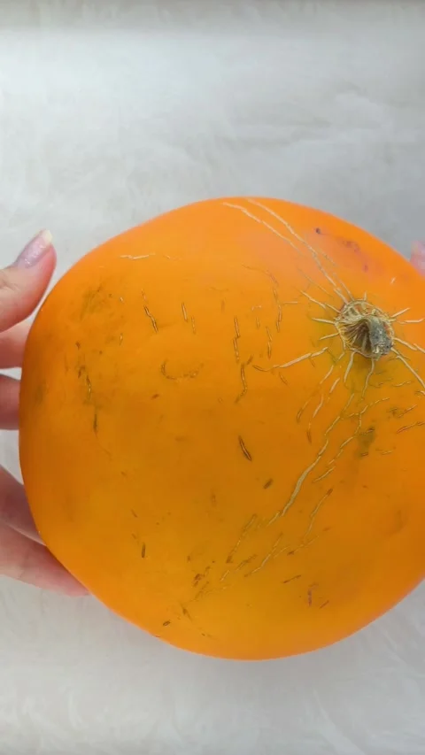 A fresh juicy orange round melon in the hands of a woman on a black background Stock Footage 314976290