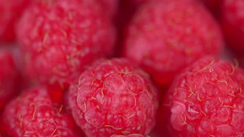 Fresh, juicy raspberry background, ripe. Diet, dieting. Pulling focus. Stock Footage 157518863