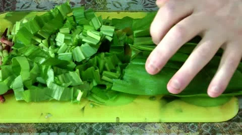 The fresh, just broken ram-son - very useful and tasty plant for the person Stock-Footage 11975490