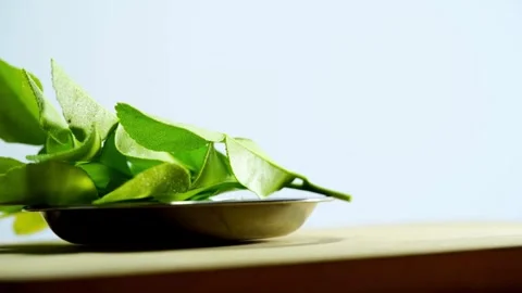 Fresh kaffir lime leaves rotating in small metal bowl Stock Footage 333811324