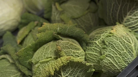 Fresh kale Stock Footage 127364021