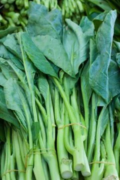 Fresh kale Stock Photos